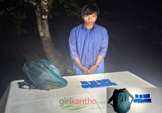 আলীকদমে যৌথ বাহিনীর অভিযান: ১১৯০ পিস ইয়াবাসহ ম্রো চোরাকারবারি আটক