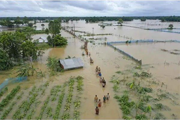 পাহাড়ি ঢল ও বন্যায় রাঙামাটিতে মৎস্য খাতে ৪ কোটি টাকার ক্ষতি