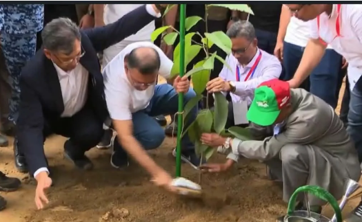 কক্সবাজারে ২৫ কোটি বৃক্ষরোপণ কর্মসূচির সূচনা, বছরে ৫ কোটি গাছ লাগানোর লক্ষ্য প্রধানমন্ত্রীর