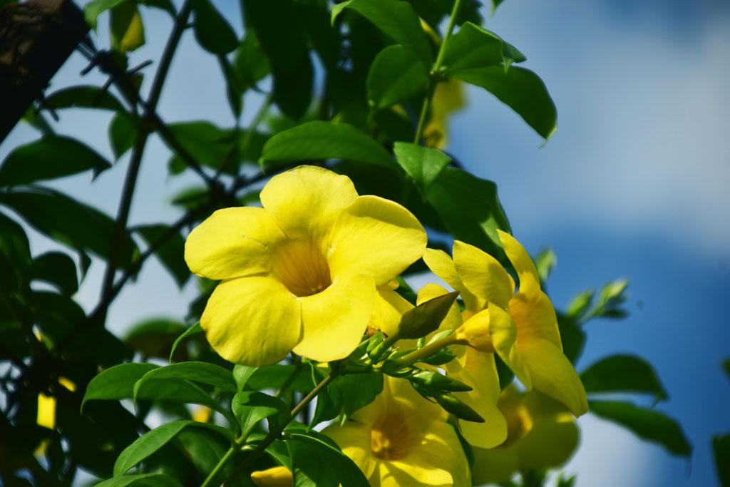 Facebook Share Test